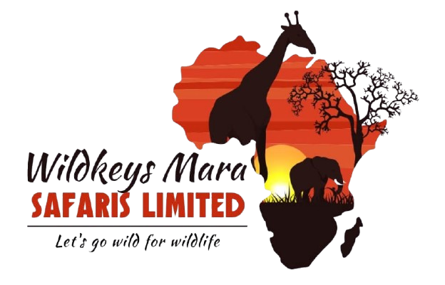 wildkeys mara safaris logo