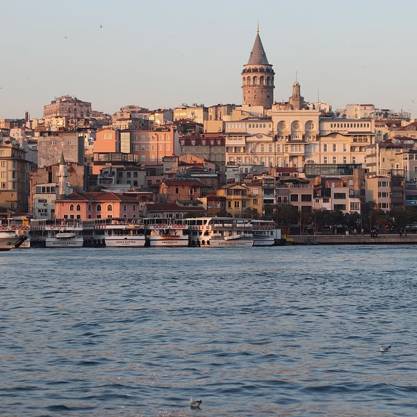 turkey